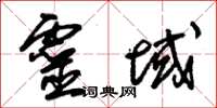 朱錫榮靈域草書怎么寫