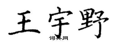 丁謙王宇野楷書個性簽名怎么寫