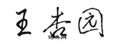 駱恆光王杏園行書個性簽名怎么寫