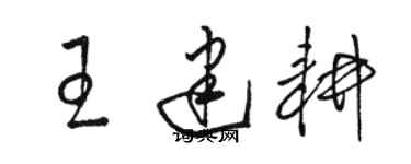 駱恆光王建耕草書個性簽名怎么寫