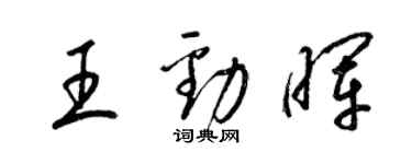梁錦英王勁暉草書個性簽名怎么寫