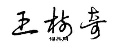 曾慶福王樹奇草書個性簽名怎么寫