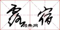 朱錫榮露宿草書怎么寫