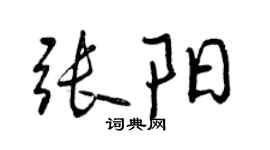 曾慶福張陽行書個性簽名怎么寫