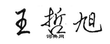 駱恆光王哲旭行書個性簽名怎么寫