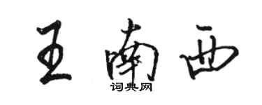 駱恆光王南西行書個性簽名怎么寫