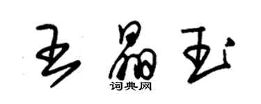 朱錫榮王晶玉草書個性簽名怎么寫