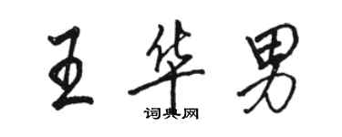 駱恆光王華男行書個性簽名怎么寫