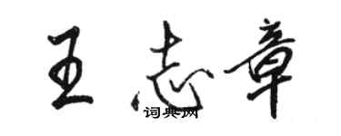 駱恆光王志章行書個性簽名怎么寫