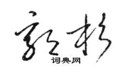 駱恆光郭杉草書個性簽名怎么寫