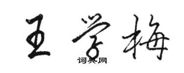 駱恆光王學梅行書個性簽名怎么寫