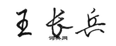 駱恆光王長兵行書個性簽名怎么寫