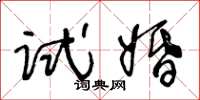 王冬齡試婚草書怎么寫