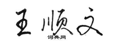 駱恆光王順文行書個性簽名怎么寫
