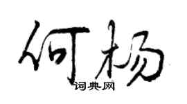 曾慶福何楊行書個性簽名怎么寫