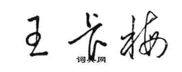 駱恆光王卡梅草書個性簽名怎么寫