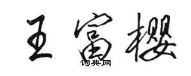 駱恆光王富櫻行書個性簽名怎么寫