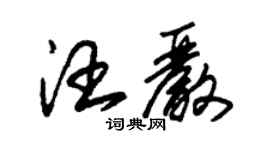 朱錫榮汪嚴草書個性簽名怎么寫