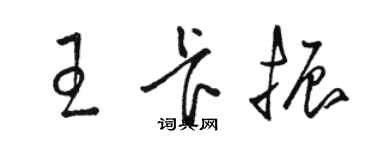 駱恆光王卡振草書個性簽名怎么寫