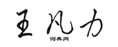 駱恆光王凡力行書個性簽名怎么寫