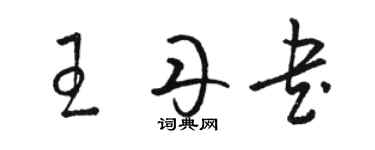 駱恆光王丹書草書個性簽名怎么寫