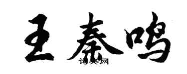 胡問遂王秦鳴行書個性簽名怎么寫