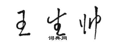 駱恆光王生帥草書個性簽名怎么寫