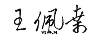 駱恆光王佩桑草書個性簽名怎么寫