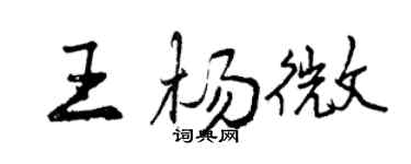 曾慶福王楊微行書個性簽名怎么寫