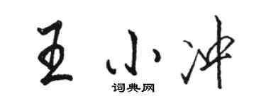 駱恆光王小沖行書個性簽名怎么寫