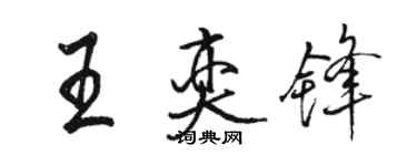 駱恆光王奕鋒行書個性簽名怎么寫