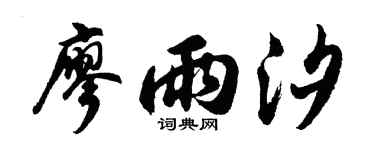 胡問遂廖雨汐行書個性簽名怎么寫