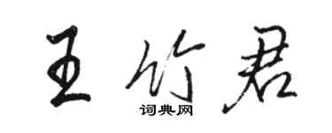 駱恆光王竹君行書個性簽名怎么寫