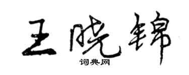 曾慶福王曉錦行書個性簽名怎么寫