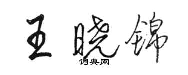 駱恆光王曉錦行書個性簽名怎么寫