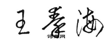 駱恆光王秦海草書個性簽名怎么寫