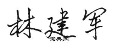 駱恆光林建軍行書個性簽名怎么寫