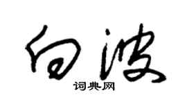 朱錫榮向波草書個性簽名怎么寫