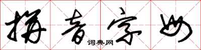 朱錫榮拼音字母草書怎么寫