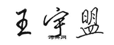 駱恆光王宇盟行書個性簽名怎么寫