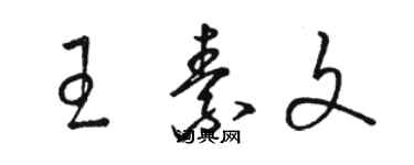 駱恆光王素文草書個性簽名怎么寫