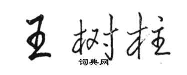 駱恆光王樹柱行書個性簽名怎么寫