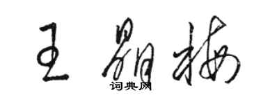 駱恆光王晶梅草書個性簽名怎么寫