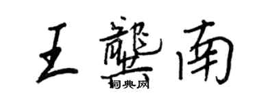 王正良王龔南行書個性簽名怎么寫