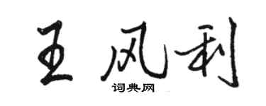 駱恆光王風利行書個性簽名怎么寫