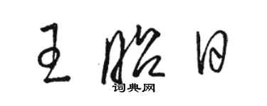 駱恆光王昭日草書個性簽名怎么寫