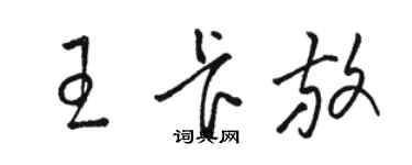 駱恆光王卡放草書個性簽名怎么寫