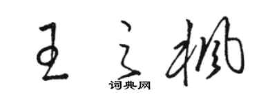 駱恆光王之楓草書個性簽名怎么寫