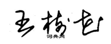 朱錫榮王樹花草書個性簽名怎么寫