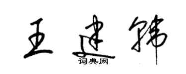 梁錦英王建韓草書個性簽名怎么寫